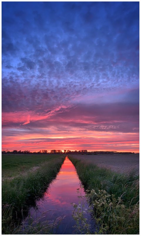 Natuur & Landschap 1