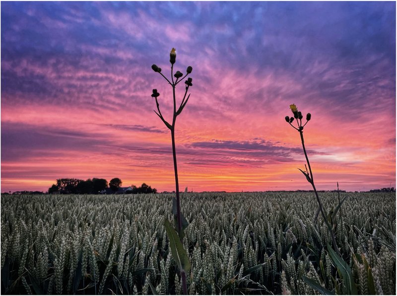 Natuur & Landschap 6