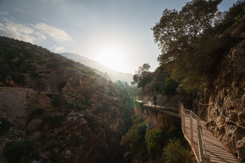 Camenito del Rey