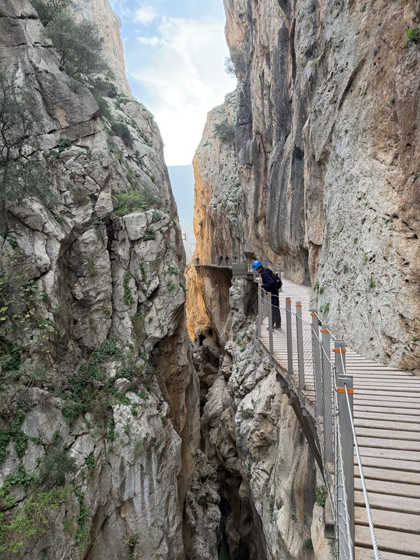 Camenito del Rey