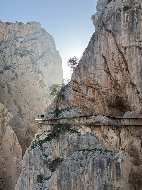Camenito del Rey