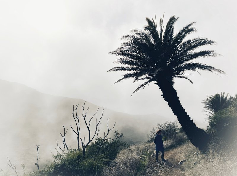 La Gomera - Las Manantiales - Pavon