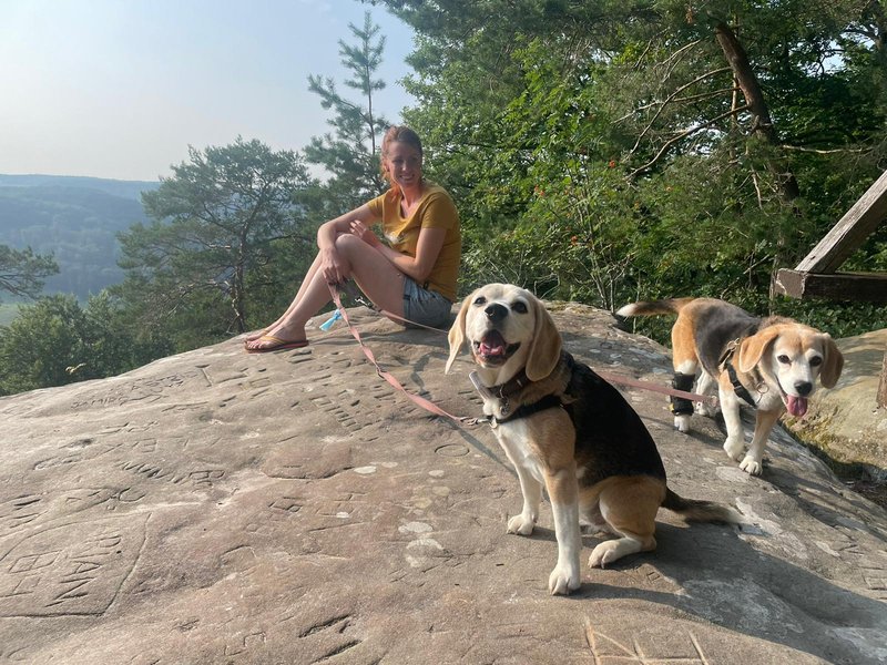 Mullerthal - Berdorf / hike & climb