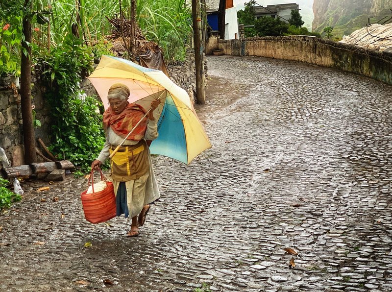 Rain