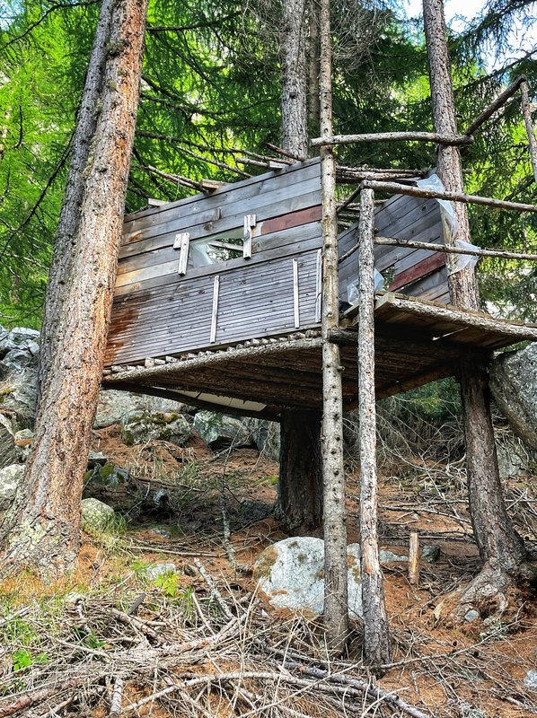 De boomhut in het bos