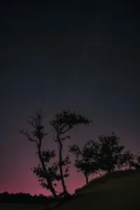 _DSC7527